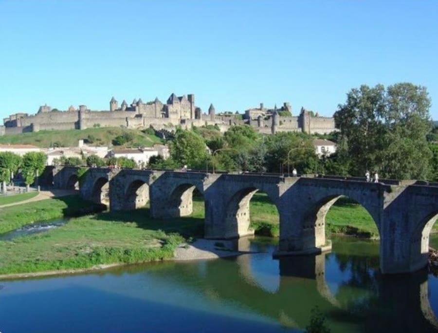 Apartament Dame Carcas Carcassonne Zewnętrze zdjęcie