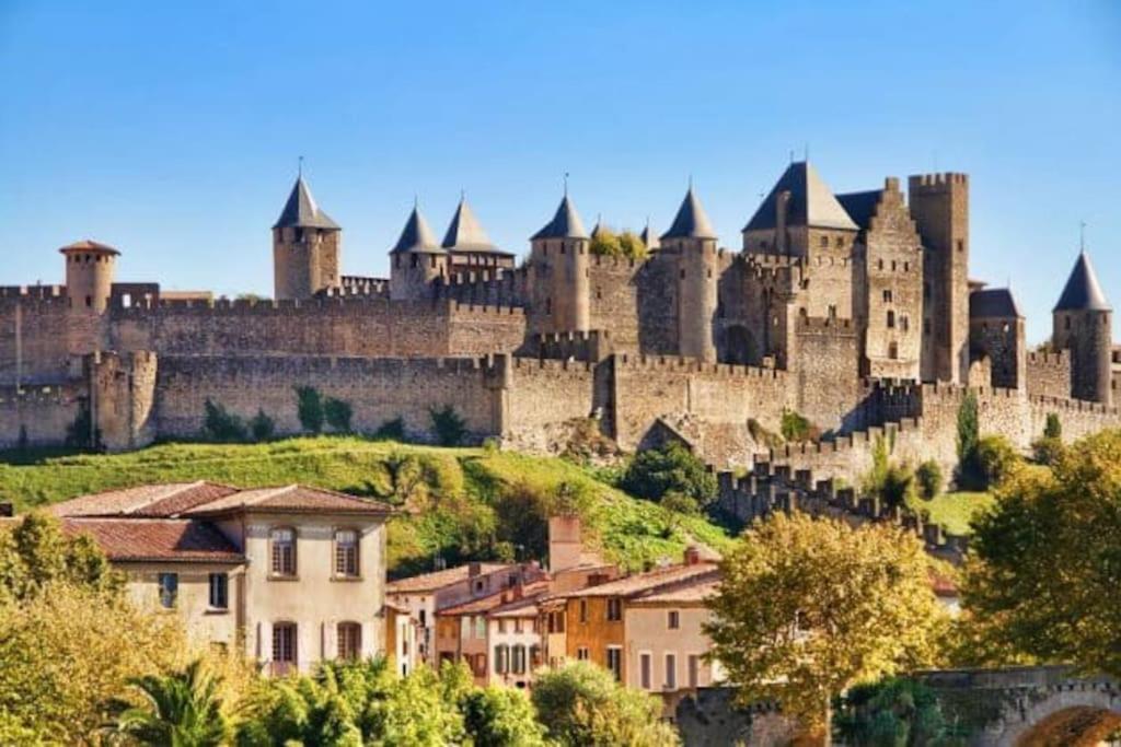 Apartament Dame Carcas Carcassonne Zewnętrze zdjęcie
