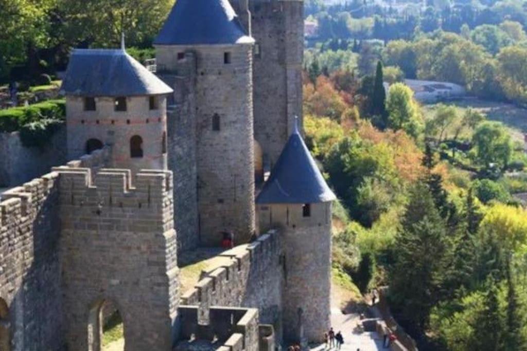 Apartament Dame Carcas Carcassonne Zewnętrze zdjęcie
